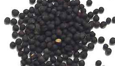 Black Mustard Seeds
