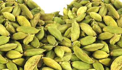   Green Cardamom